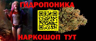 СК Краснознаменск