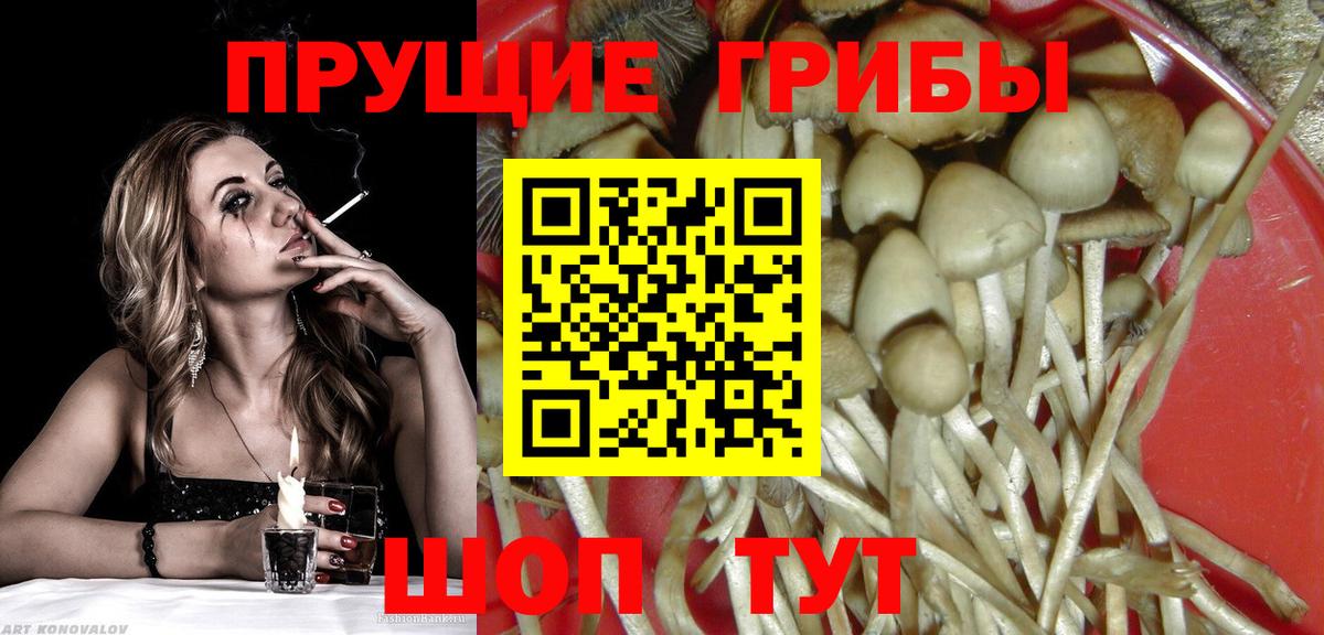 Галлюциногенные грибы Psilocybine cubensis  Псилоцибиновые грибы ЛСД  Камышлов  Вход с VPN 